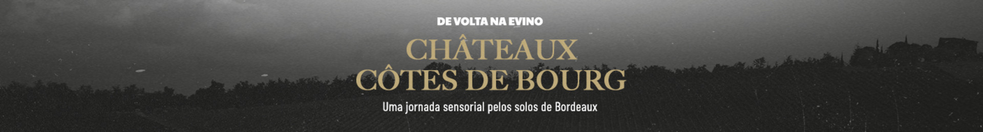 Uma jornada sensorial pelos solos de Bordeaux!

