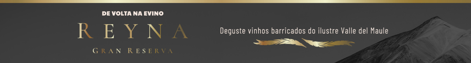 Deguste vinhos barricados do ilustre Valle del Maule 
