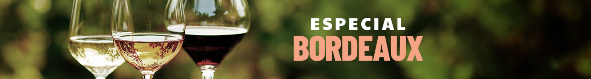 Uma seleção de vinhos | Até 55% OFF