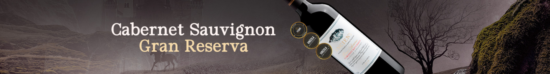 Cabernet Sauvignon oriundo dos ricos solos do Valle Central!