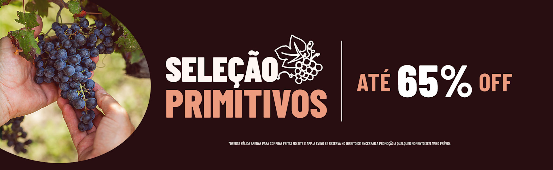 Seleção de Primitivos