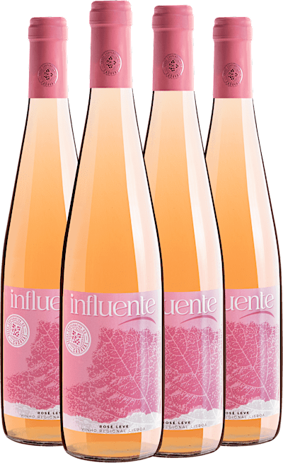Kit 4 Influente Rosé Vinho Regional Lisboa