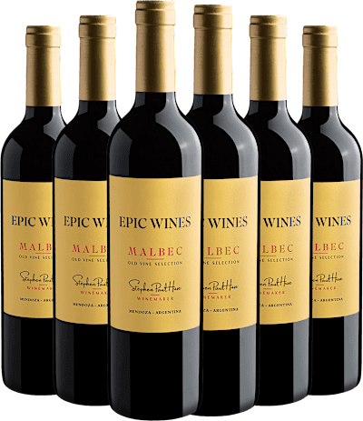 Kit 6 Epic Wines Malbec Old Vine Selection