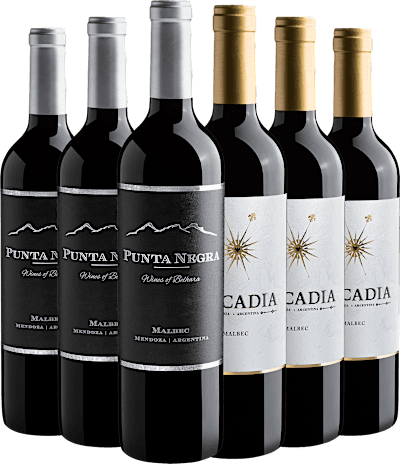 Kit Malbecs Argentinos | 3 Punta Negra Wines of Belhara  + 3 Arcadia