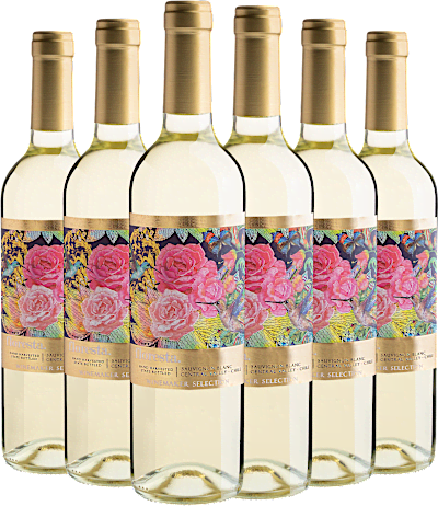 Kit 6 Floresta Winemaker Selection Sauvignon Blanc por R$27,90 cada garrafa