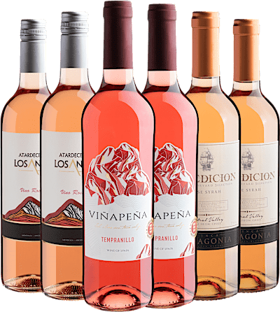 Kit 6 Rosés Best Sellers por R$27,90 cada garrafa