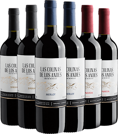 Kit Las Colinas: 2 Merlot + 2 Syrah + 2 Bonarda