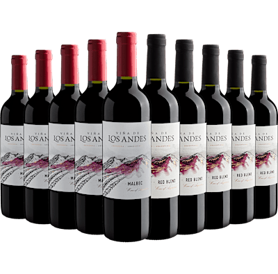 Kit Viña de Los Andes: 5 Malbecs + 5 Red Blends