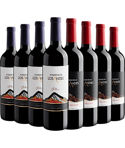Kit Atardecer de Los Andes: 4 Malbec + 4 Red Blend