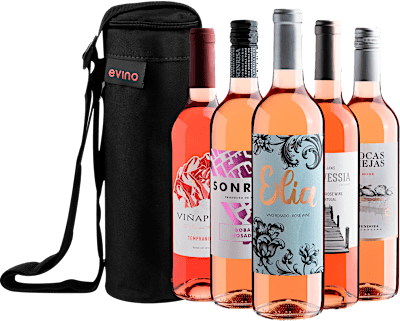 Kit 5 Vinhos Rosés + Bolsa Exclusiva
