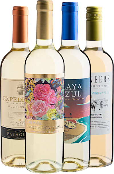 Kit 4 Sauvignons Blancs