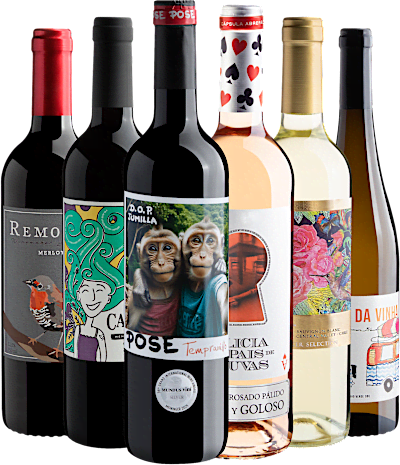 Kit 6 Vinhos Colecionáveis
