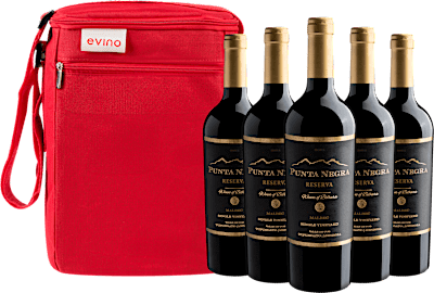 Kit 5 Punta Negra Reserva Malbec + Bolsa Exclusiva