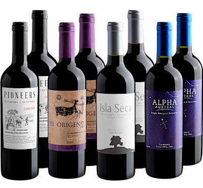 Kit Carménère em Dobro | 8 garrafas