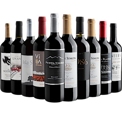 Kit 10 Vinhos Tintos com Punta Negra
