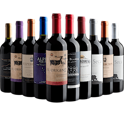 Kit 10 Vinhos Chilenos para o Inverno
