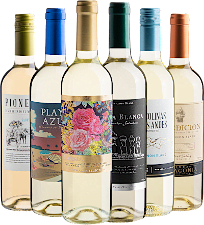 Kit 6 Sauvignons Blancs