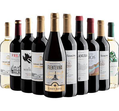 Kit 10 Vinhos Espanhóis*