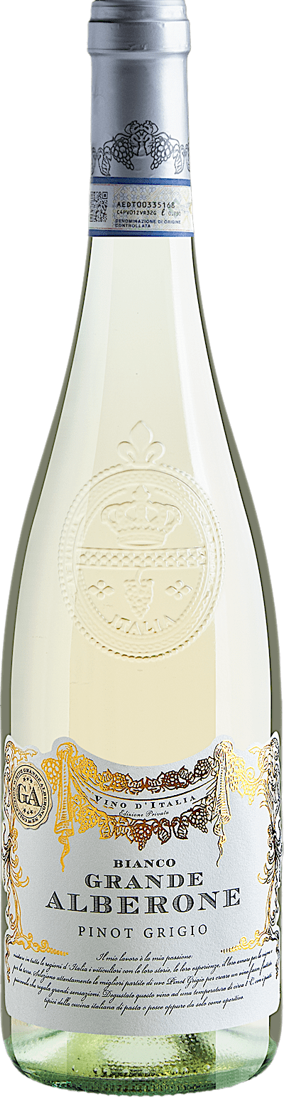 Grande Alberone Pinot Grigio delle Venezie DOC 2025