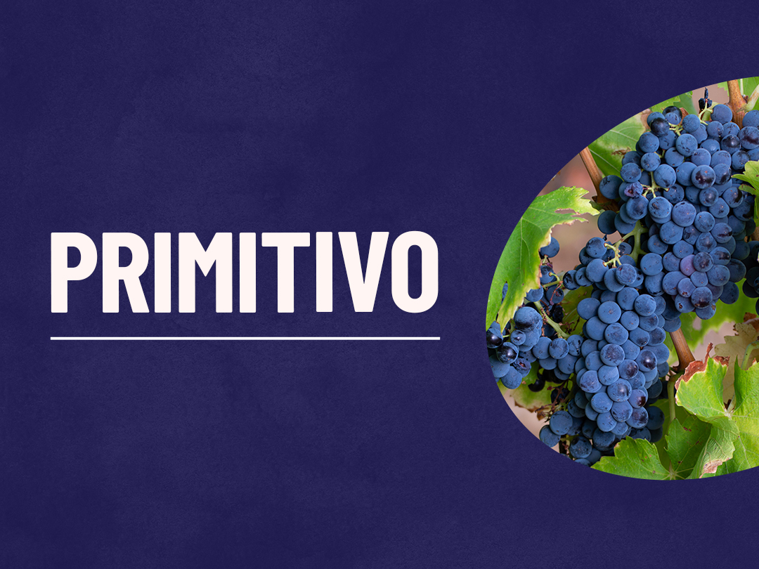 Tipos de Uva: Primitivo