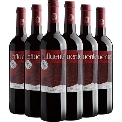 Vinho Casa Cadaval Tinto Seco Portugal Influente Aragonez, Castelão, Touriga Nacional 750ml - 6 Unidades