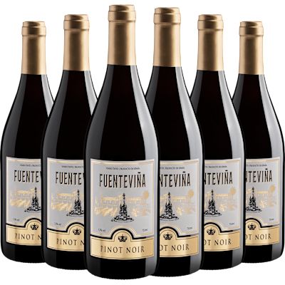 Vinho Bodegas López Morenas Tinto Seco Espanha Fuenteviña Pinot Noir 750ml - 6 Unidades