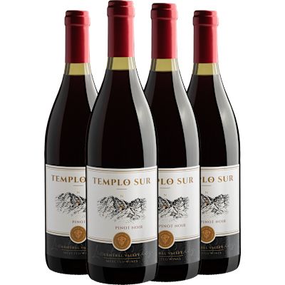 Vinho Sur Valles Tinto Seco Chile Templo Sur Pinot Noir 750ml - 4 Unidades