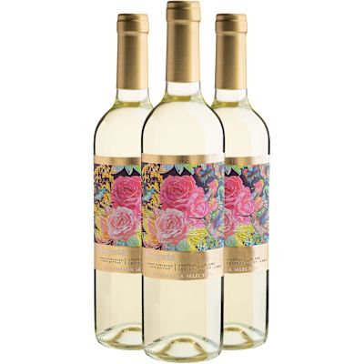 Vinho Bodegas Y Viñedos de Aguirre Branco Seco Chile Floresta Sauvignon Blanc 750ml - 3 Unidades