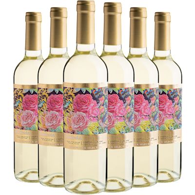 Vinho Bodegas Y Viñedos de Aguirre Branco Seco Chile Floresta Sauvignon Blanc 750ml - 6 Unidades