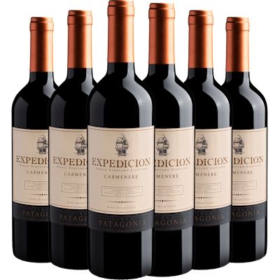 Vinho Finca Patagonia Tinto Seco Chile Expedicion Single Vineyard Selection Carménère 750ml - 6 Unidades