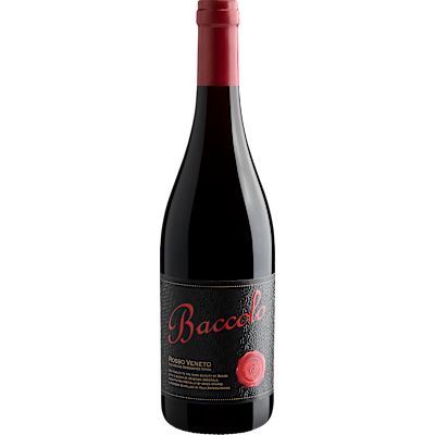Vinho Cielo e Terra Tinto Seco Itália Baccolo Blend 2022 750ml