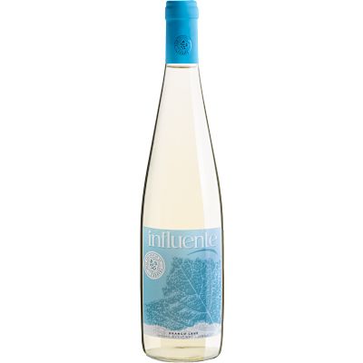 Vinho Casa Cadaval Branco Seco Portugal Influente Blend 750ml