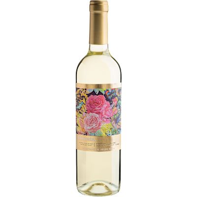 Vinho Bodegas Y Viñedos de Aguirre Branco Seco Chile Floresta Sauvignon Blanc 750ml